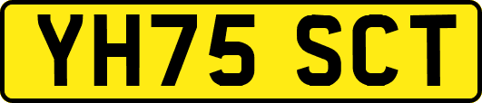 YH75SCT