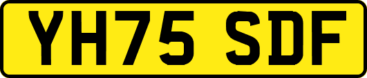 YH75SDF