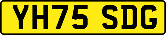 YH75SDG