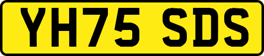 YH75SDS