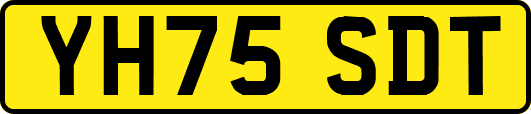 YH75SDT