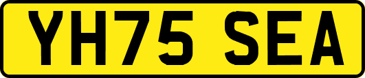 YH75SEA