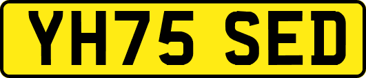 YH75SED