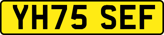 YH75SEF