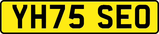 YH75SEO