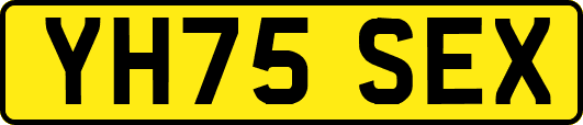 YH75SEX