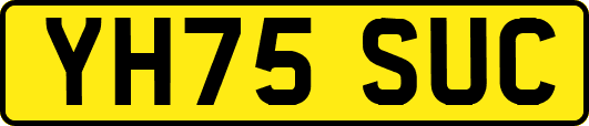 YH75SUC