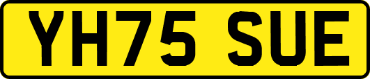 YH75SUE