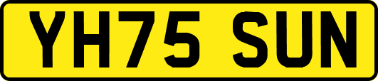 YH75SUN