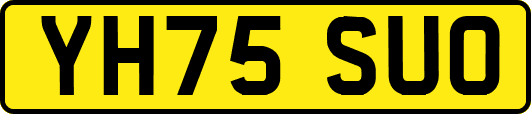 YH75SUO
