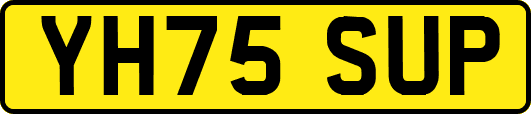 YH75SUP