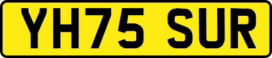 YH75SUR