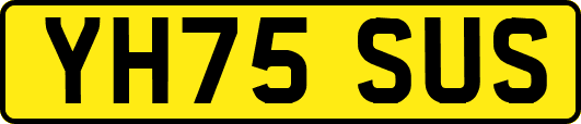 YH75SUS