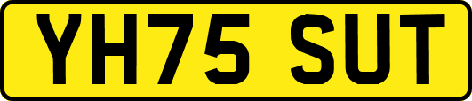 YH75SUT