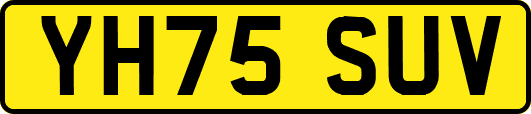 YH75SUV