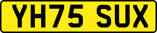 YH75SUX