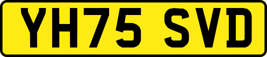 YH75SVD