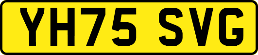 YH75SVG