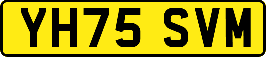 YH75SVM