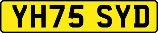 YH75SYD