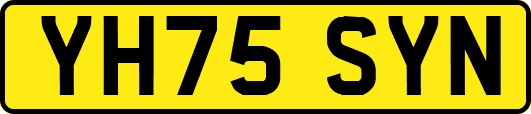 YH75SYN