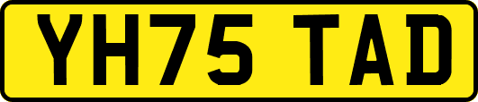 YH75TAD