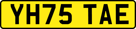 YH75TAE