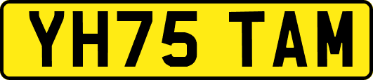 YH75TAM
