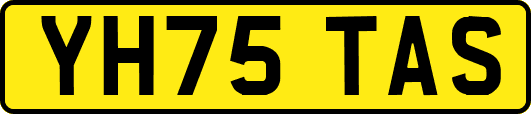 YH75TAS