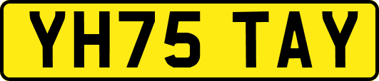 YH75TAY