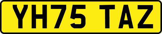 YH75TAZ