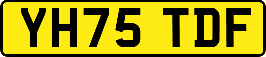YH75TDF