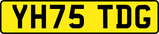 YH75TDG