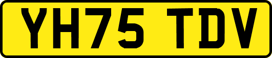YH75TDV