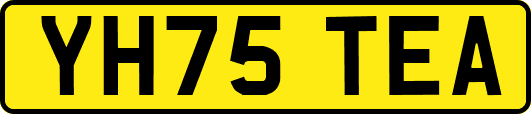 YH75TEA
