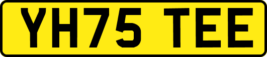 YH75TEE