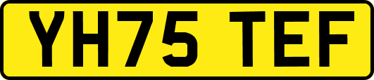 YH75TEF