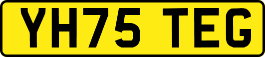 YH75TEG