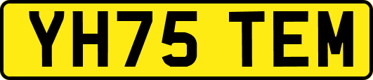 YH75TEM