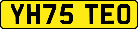 YH75TEO