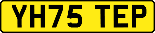 YH75TEP