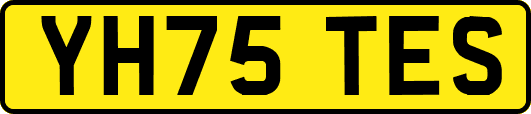 YH75TES