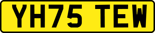 YH75TEW