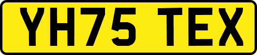YH75TEX