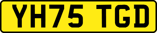 YH75TGD