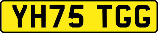 YH75TGG