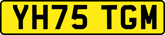 YH75TGM