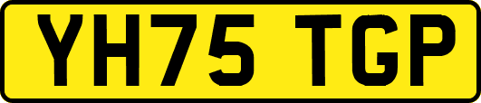 YH75TGP
