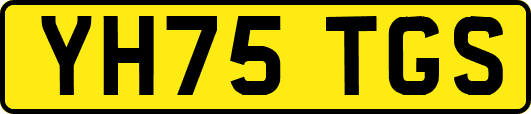 YH75TGS