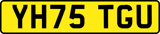 YH75TGU